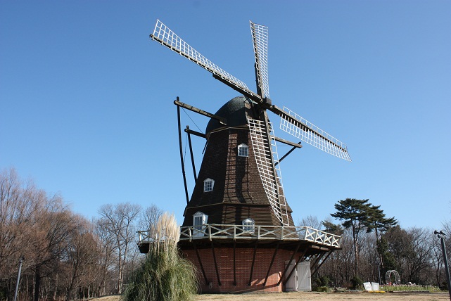 c0138908_21215155.jpg