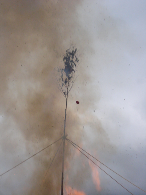 e0015108_1733176.jpg