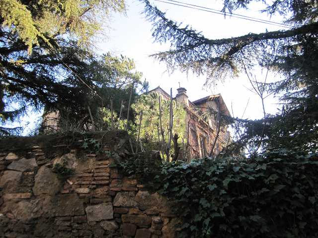 b0064411_862981.jpg