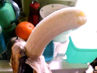 f0000211_16351376.jpg