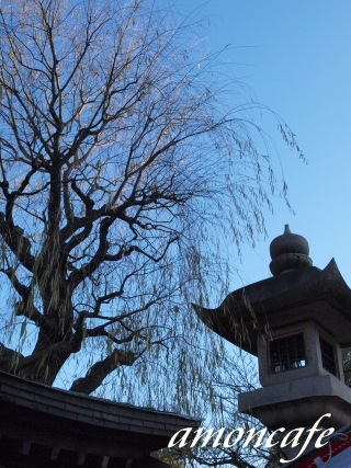 f0192411_0222793.jpg