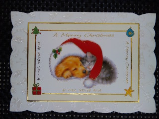 c0201113_20442486.jpg