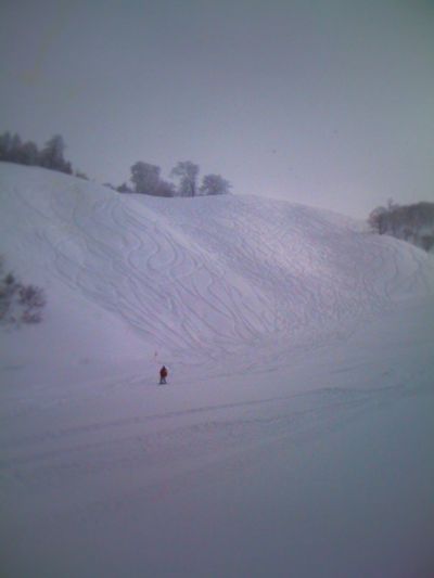 e0132713_8163140.jpg