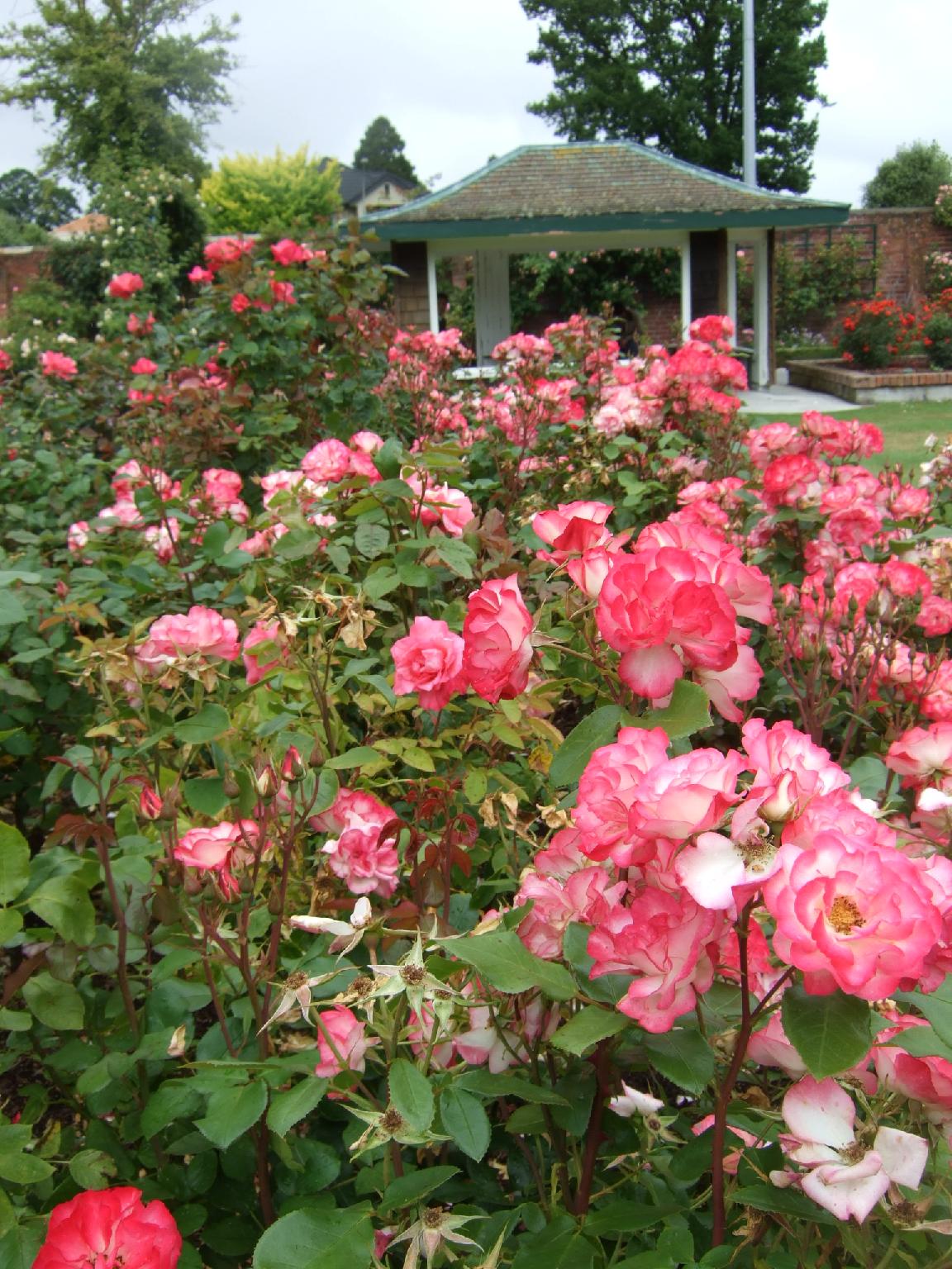 e0009714_11281480.jpg