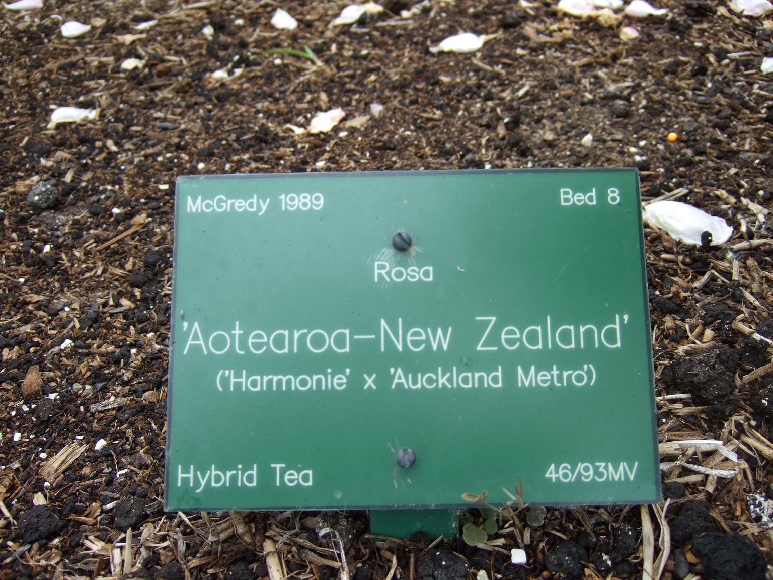 e0009714_11284440.jpg