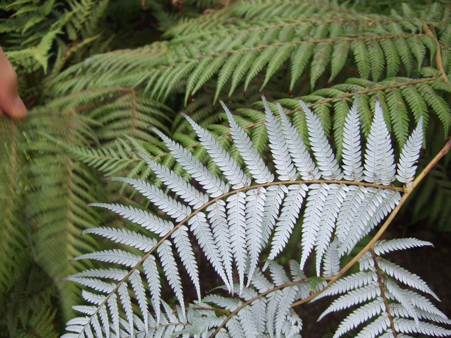 e0009714_11313327.jpg