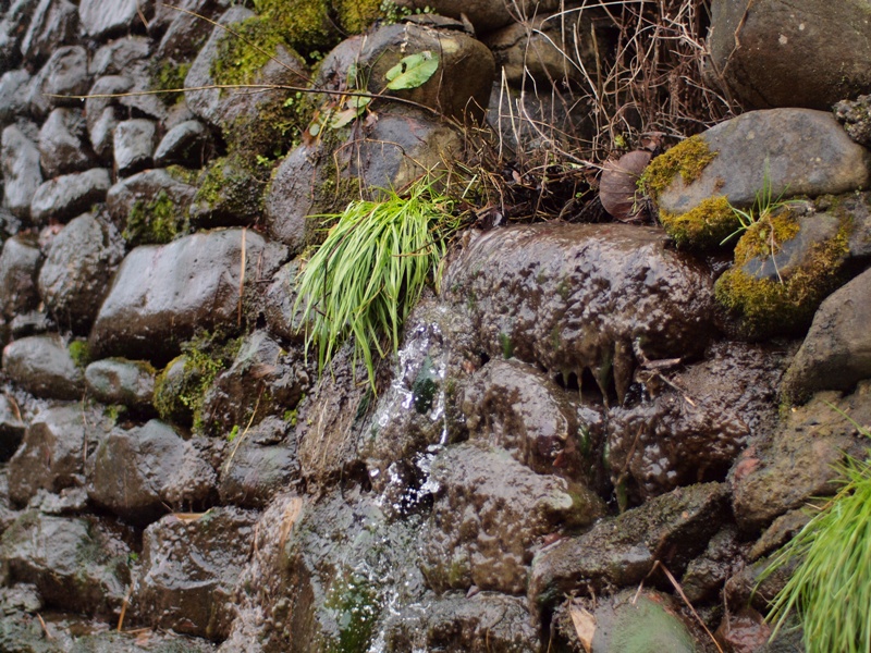 a0159628_0353645.jpg