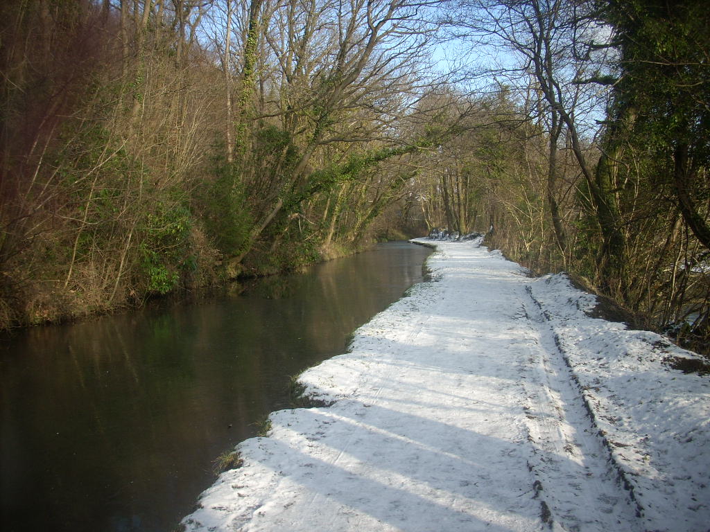 d0145528_19533459.jpg
