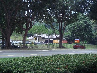 b0003235_1418045.jpg