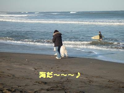 e0196135_22161573.jpg