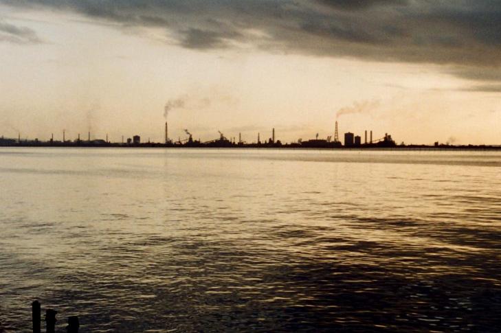 d0141239_3173170.jpg