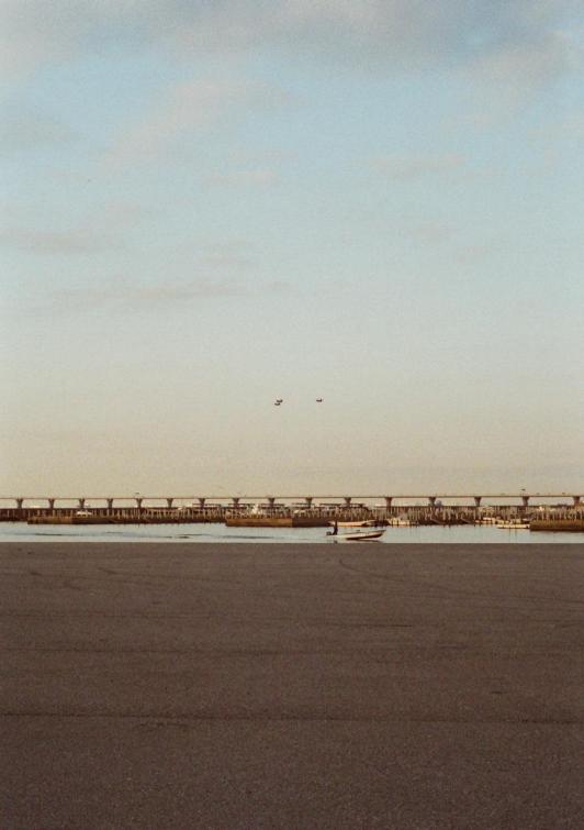 d0141239_36592.jpg
