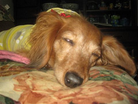 c0206342_1254187.jpg