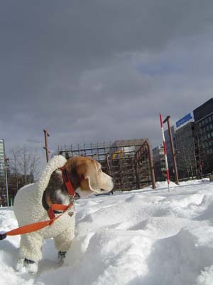 a0042044_1315424.jpg