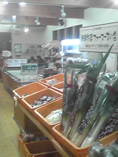 c0217246_10264634.jpg