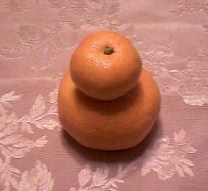 f0096147_2328266.jpg
