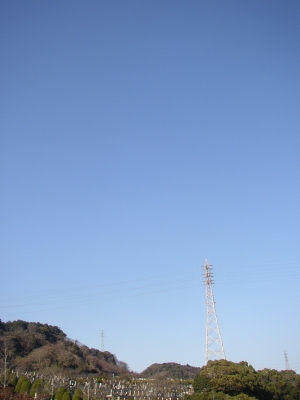a0068350_7164298.jpg