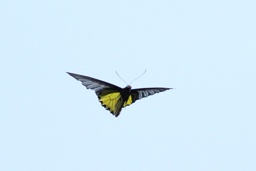 a0094850_20311038.jpg