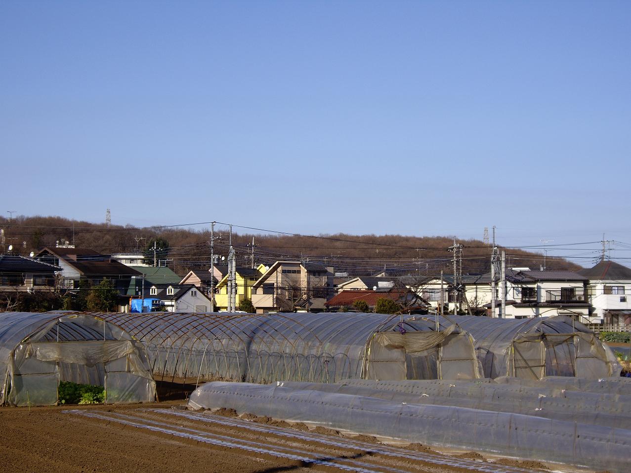 c0024558_21443981.jpg