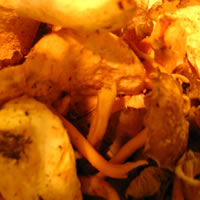 c0062361_11185988.jpg