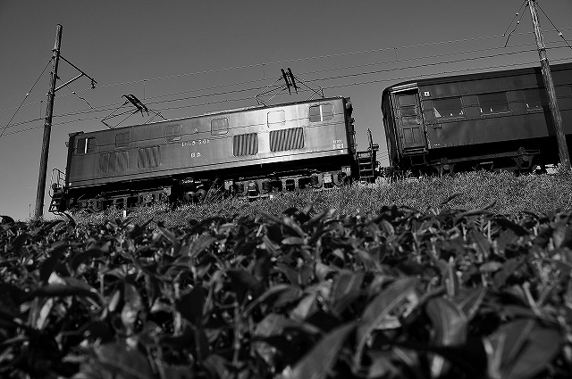 c0173762_19154146.jpg