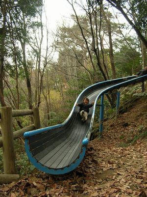 f0131263_0192145.jpg