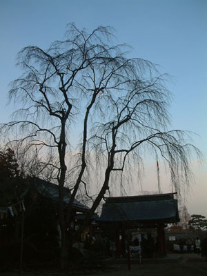 c0050264_22135529.jpg