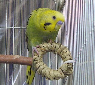 f0196665_054263.jpg