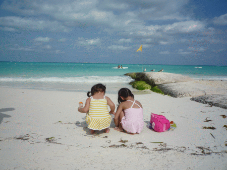 f0186671_759034.gif