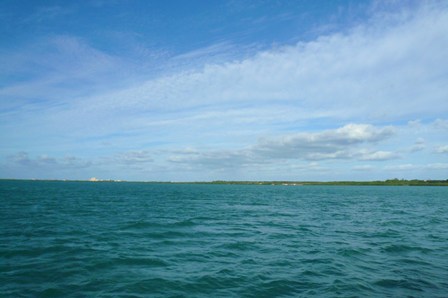 a0100975_10291934.jpg
