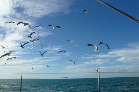 a0100975_127234.jpg