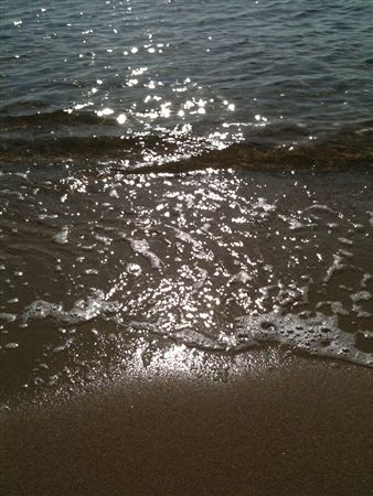 f0001378_10173984.jpg