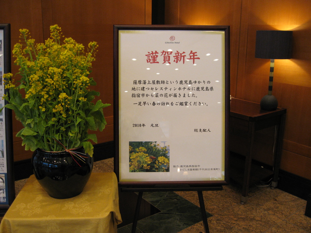b0174079_1542641.jpg