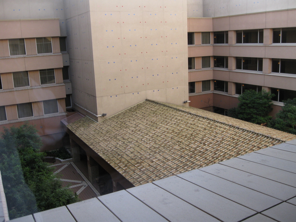 b0174079_1551561.jpg