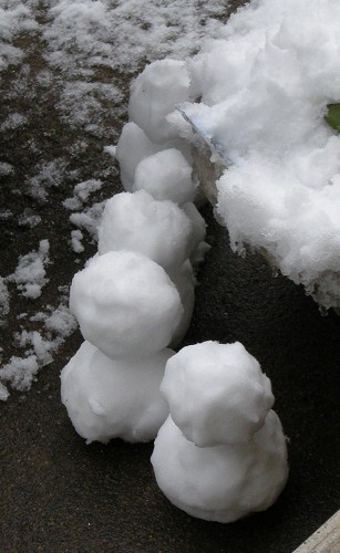 c0209386_3391050.jpg