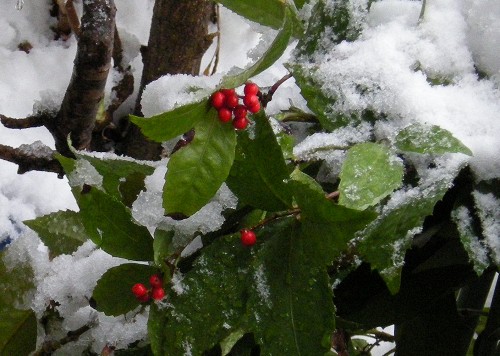 c0209386_3404917.jpg