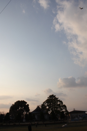 c0118387_10395760.jpg