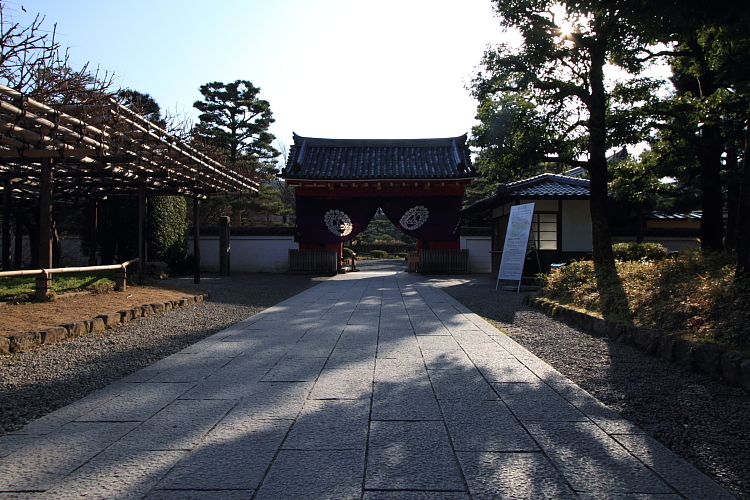 e0051888_192903.jpg