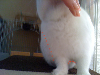 f0201191_0355050.jpg
