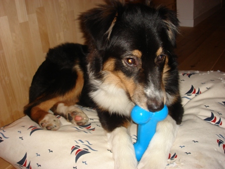 f0077697_12285597.jpg