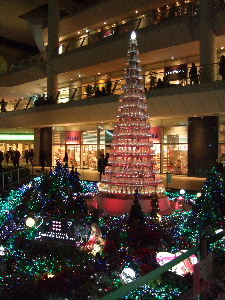 e0149604_223498.jpg