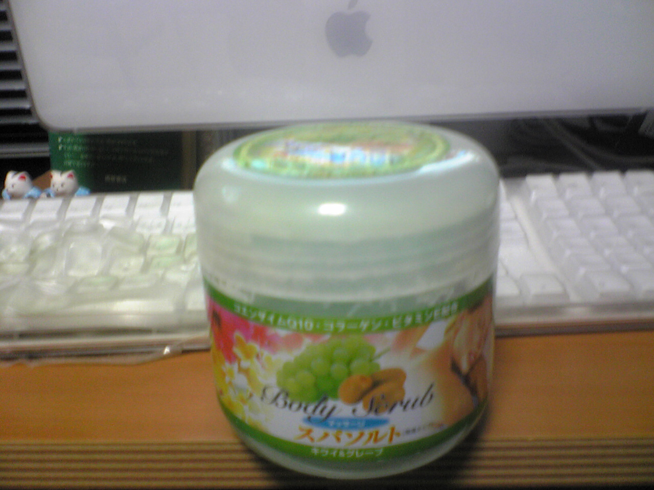 a0100206_0393273.jpg
