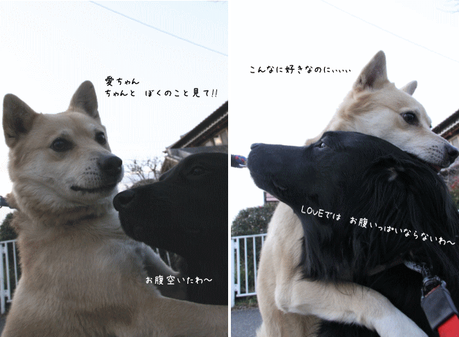 c0017311_15395337.gif