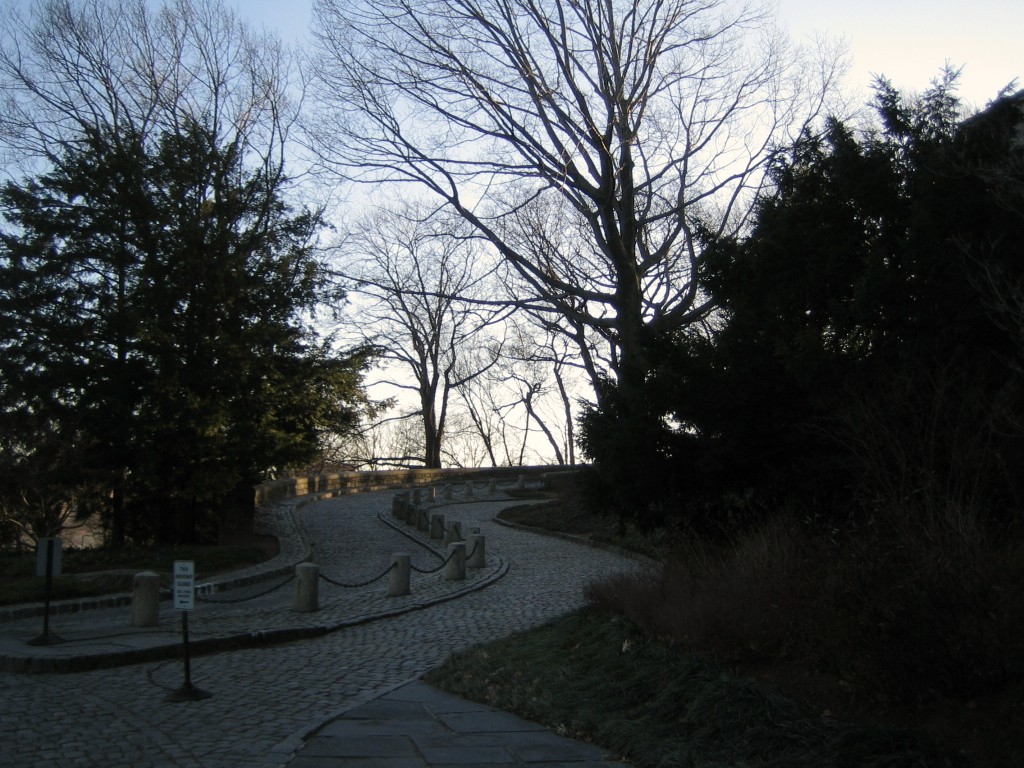 e0196912_1005390.jpg