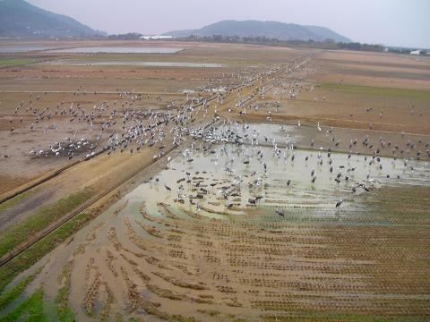 e0010219_15183989.jpg