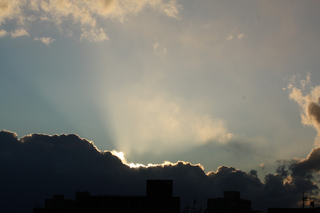 c0132325_20333399.jpg