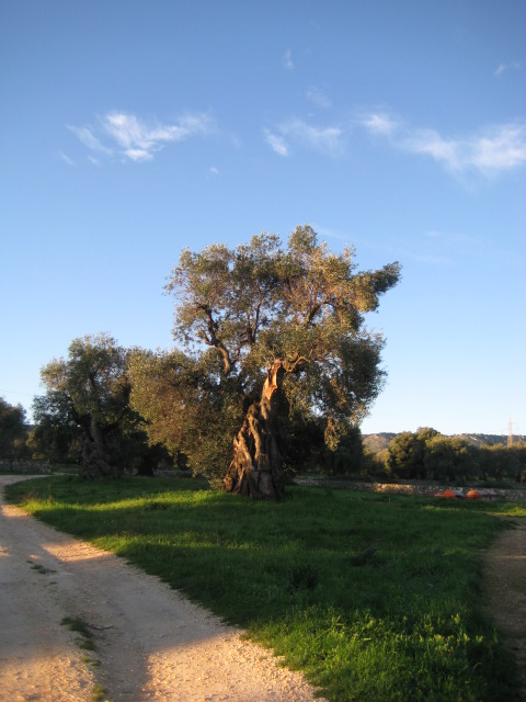 d0147727_19414097.jpg