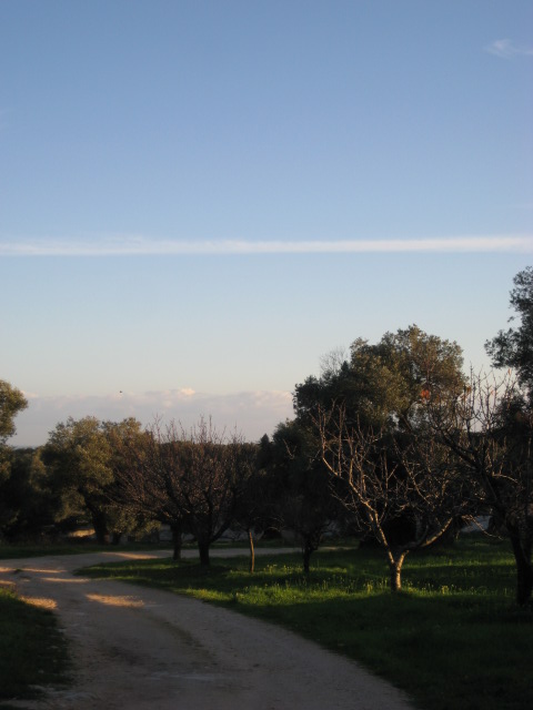 d0147727_19441427.jpg