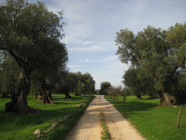 d0147727_1949277.jpg