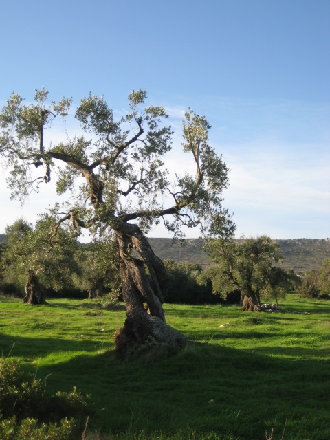 d0147727_19542075.jpg
